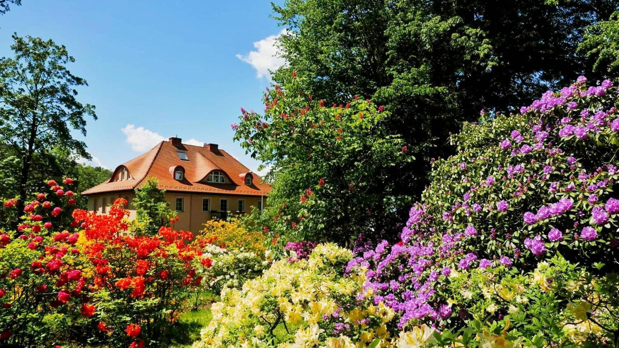 Rezydencja Grawert Boutique & Spa Lądek-Zdrój Exteriör bild